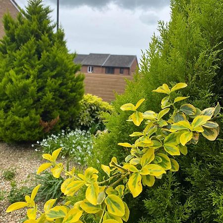 Rose Cottage Ryde  Dış mekan fotoğraf