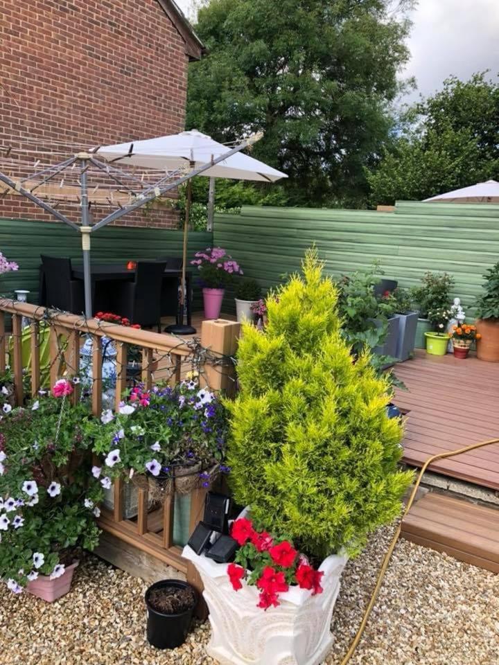 Rose Cottage Ryde  Dış mekan fotoğraf